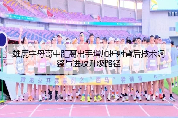 雄鹿字母哥中距离出手增加折射背后技术调整与进攻升级路径（leyu）
